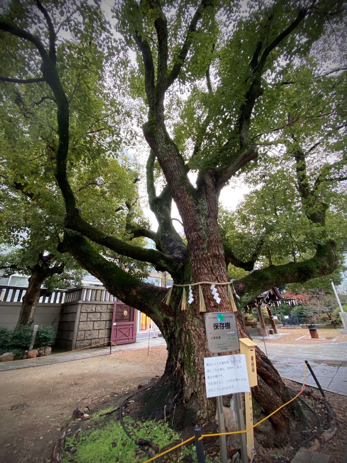 ⛩️ 난바 신사 (なんばじんじゃ)